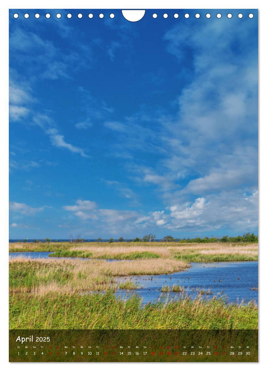 Bild: 9783435956654 | Wunderbare Ostseelandschaft Fischland-Darß-Zingst (Wandkalender...