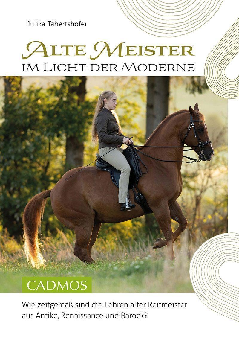 Cover: 9783840410925 | Alte Meister im Licht der Moderne | Julika Tabertshofer | Taschenbuch