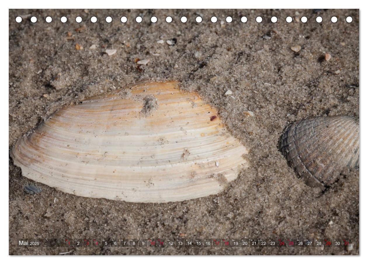 Bild: 9783435426850 | Sankt Peter-Ording. Sonne - Strand - Meer (Tischkalender 2025 DIN...