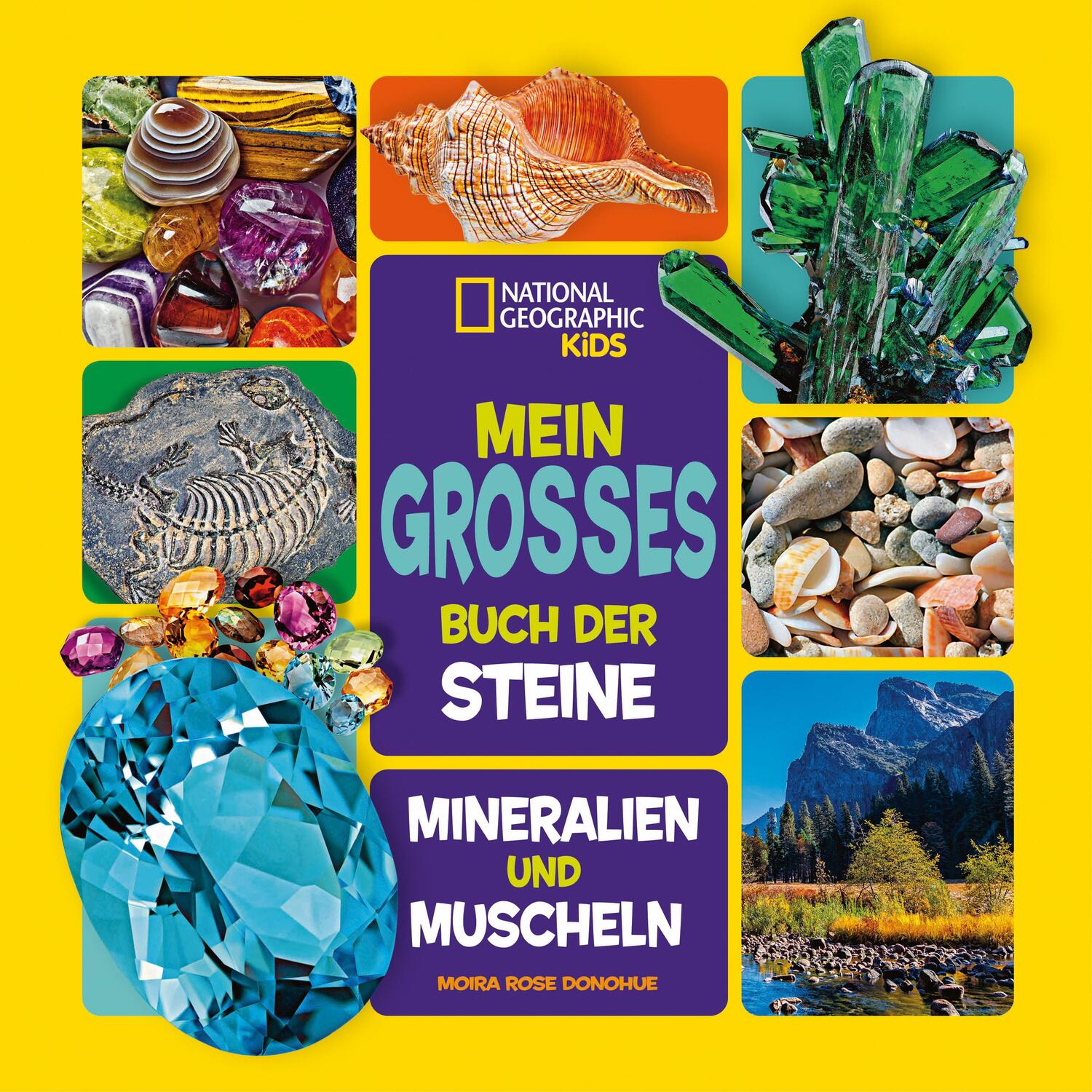 Cover: 9788863125139 | Mein großes Buch der Steine, Mineralien und Muscheln | Donohue | Buch