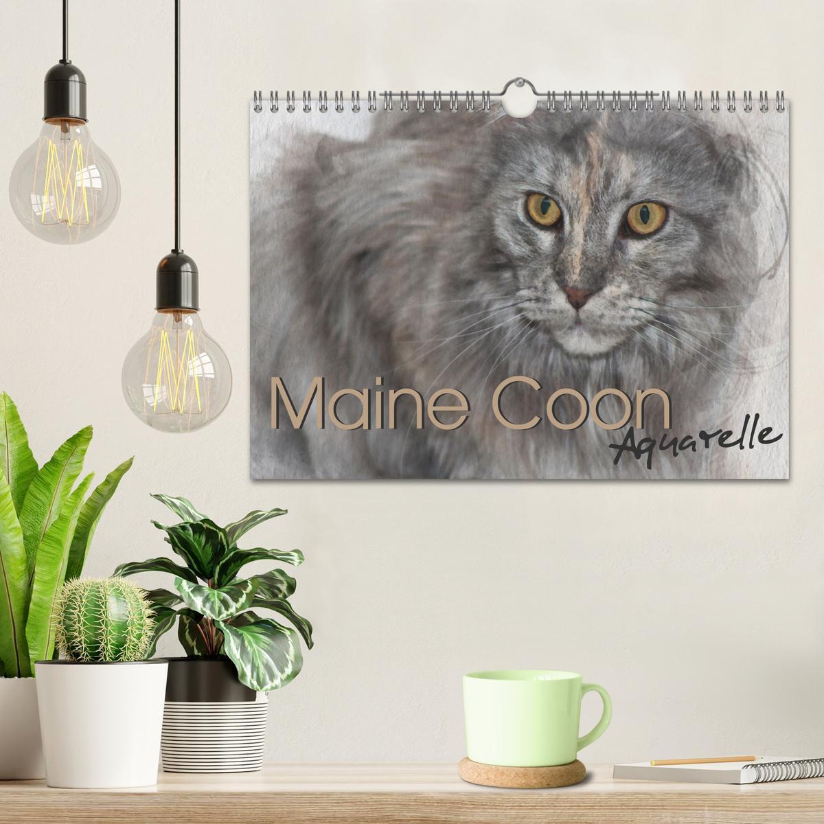 Bild: 9783435024506 | Maine Coon Aquarelle (Wandkalender 2025 DIN A4 quer), CALVENDO...