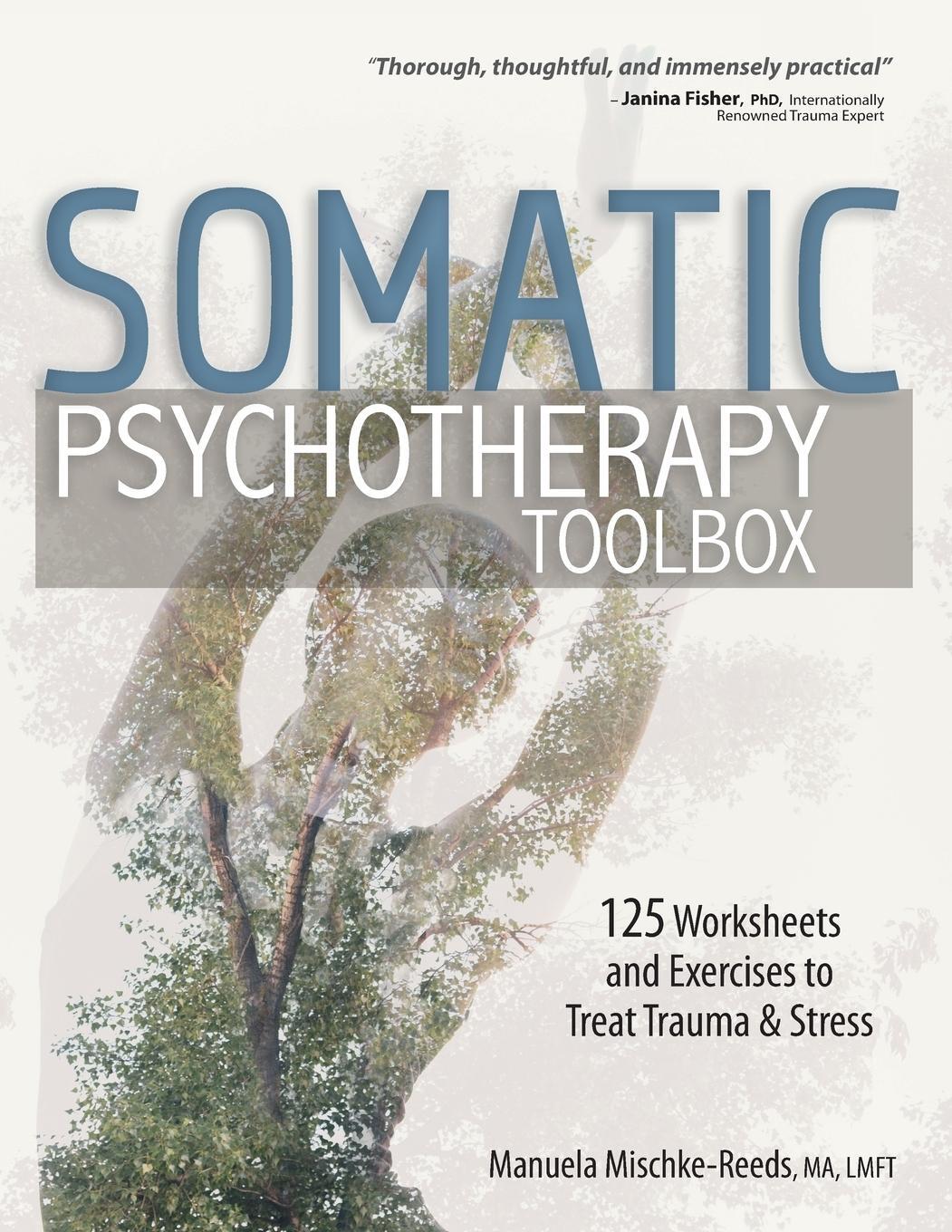 Cover: 9781683731351 | Somatic Psychotherapy Toolbox | Manuela Mischke-Reeds | Taschenbuch