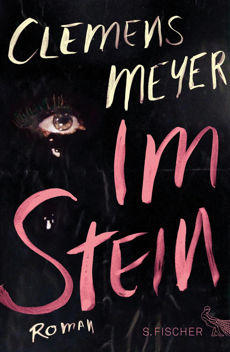 Cover: 9783100486028 | Im Stein | Clemens Meyer | Buch | Deutsch | 2013 | S. FISCHER