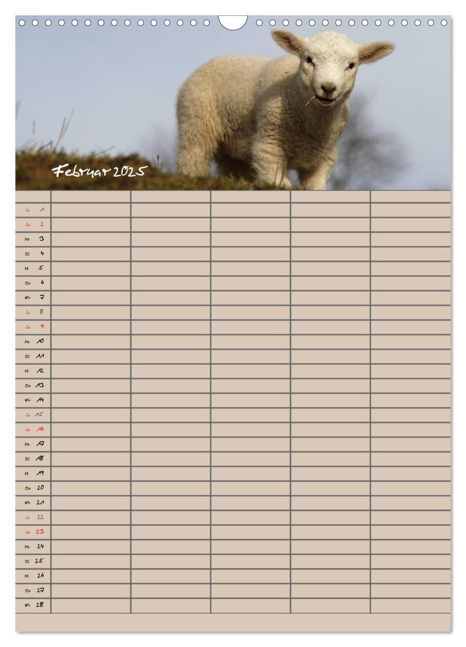 Bild: 9783457058329 | Der belämmerte Familienplaner (Wandkalender 2025 DIN A3 hoch),...