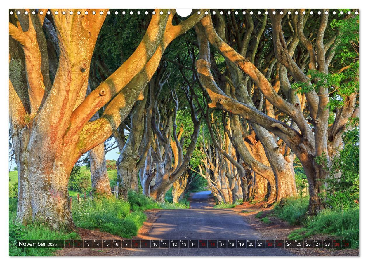 Bild: 9783435104000 | Nordirland und Belfast (Wandkalender 2025 DIN A3 quer), CALVENDO...