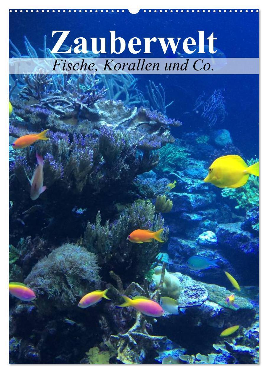 Cover: 9783383376696 | Zauberwelt. Fische, Korallen und Co. (Wandkalender 2024 DIN A2...