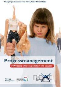 Cover: 9783901880506 | Prozessmanagement | Christina Hiller (u. a.) | Buch | Goldegg Business