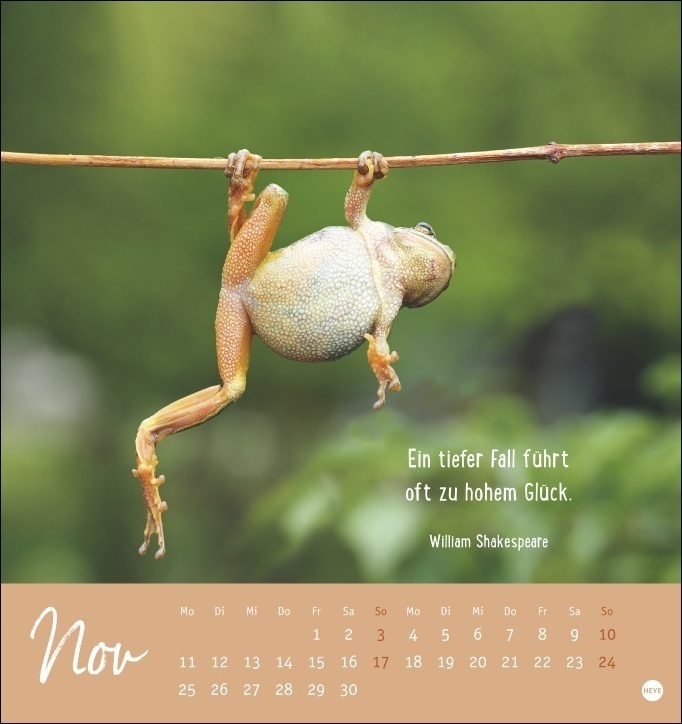 Bild: 9783756403332 | Never give up! Postkartenkalender 2024. Süße Tiere in einem...
