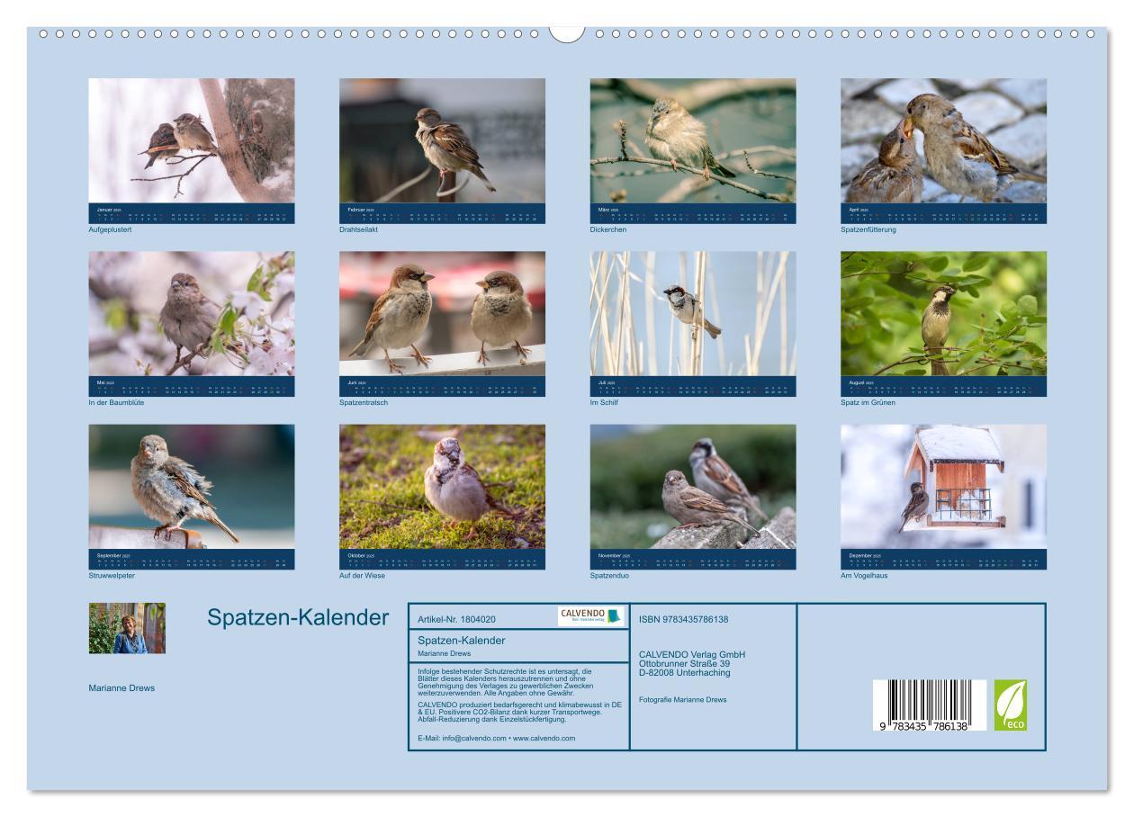 Bild: 9783435786138 | Spatzen-Kalender (hochwertiger Premium Wandkalender 2025 DIN A2...