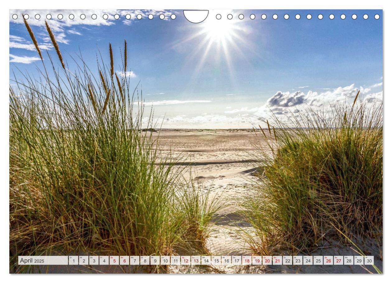 Bild: 9783435081134 | BORKUM-LIEBE (Wandkalender 2025 DIN A4 quer), CALVENDO Monatskalender