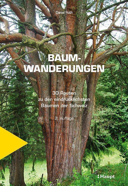 Cover: 9783258083087 | Baumwanderungen | 30 Routen zu den eindrücklichsten Bäumen der Schweiz