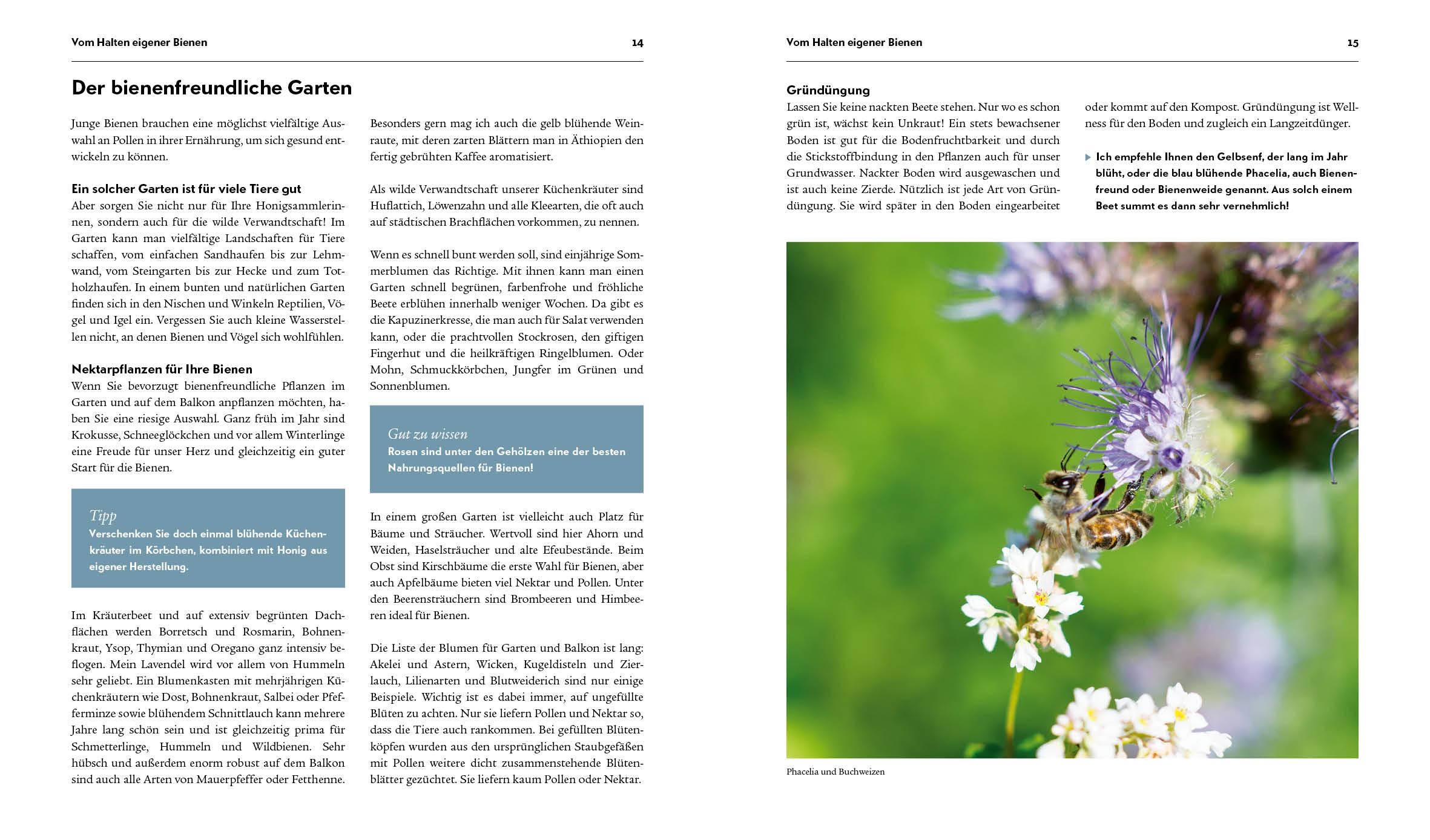 Bild: 9783745910452 | Imkern - Bienenhaltung für Einsteiger | Pia Schrade | Buch | 176 S.