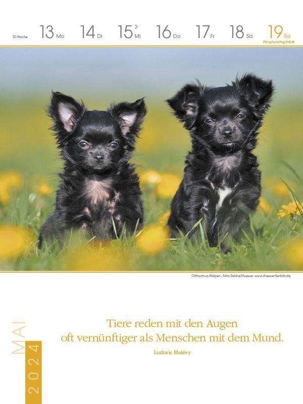 Bild: 9783731870210 | Literaturkalender Hunde 2024 | Korsch Verlag | Kalender | 54 S. | 2024