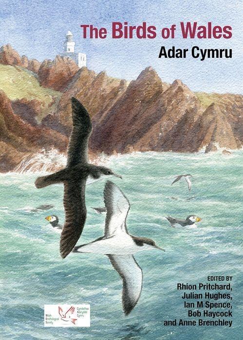 Cover: 9781800859722 | The Birds of Wales | Rhion Pritchard | Buch | Gebunden | Englisch
