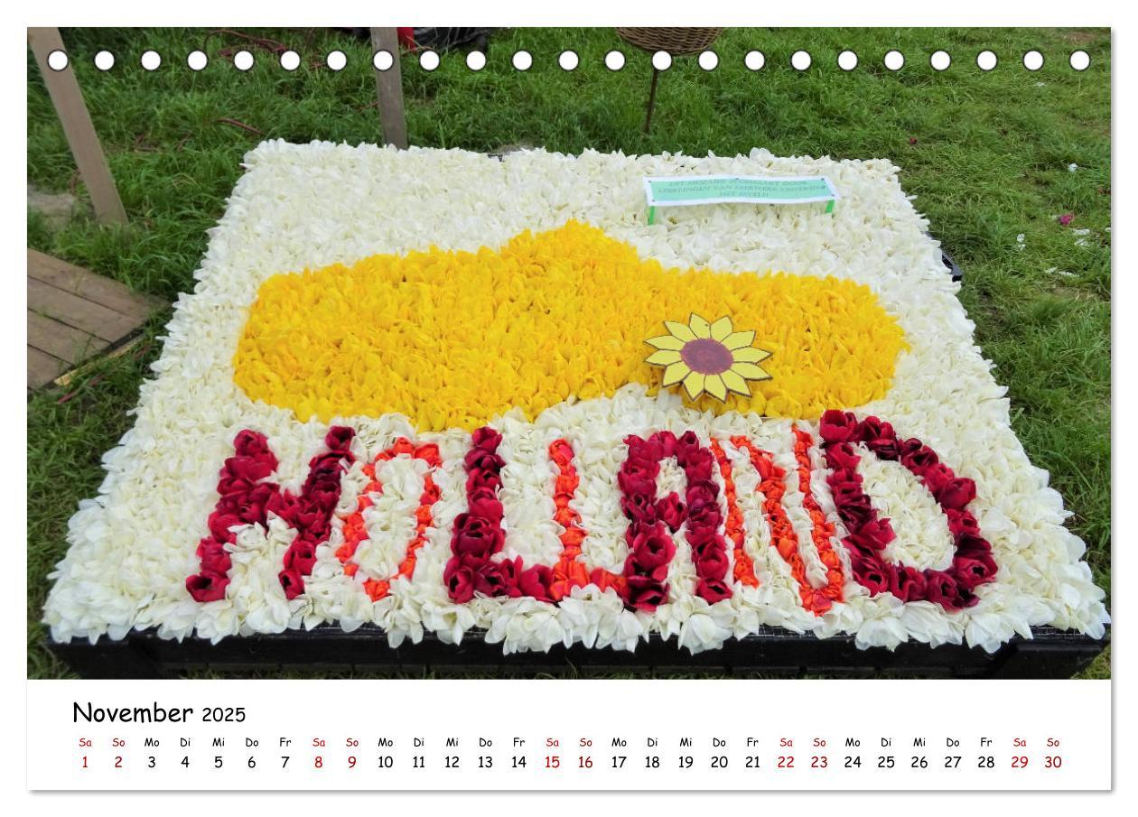 Bild: 9783435257782 | Tulpenblüte in Flevoland 2025 (Tischkalender 2025 DIN A5 quer),...