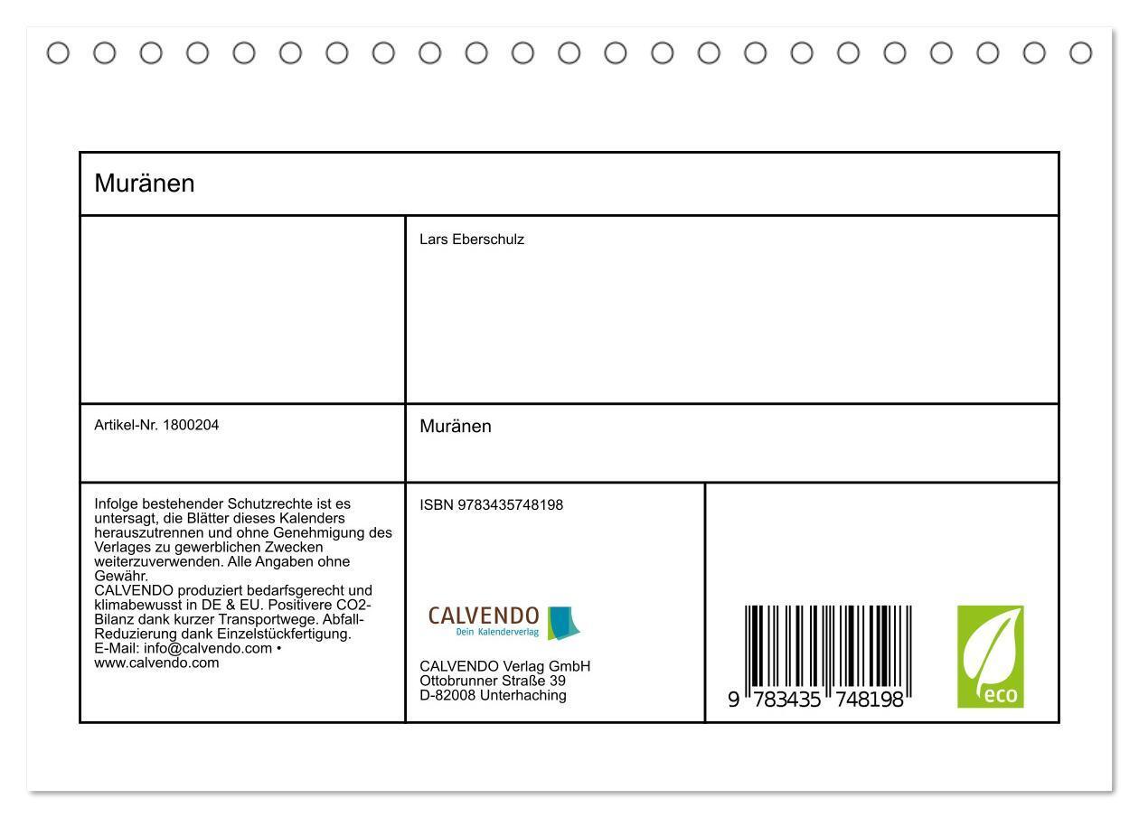 Bild: 9783435748198 | Muränen (Tischkalender 2025 DIN A5 quer), CALVENDO Monatskalender