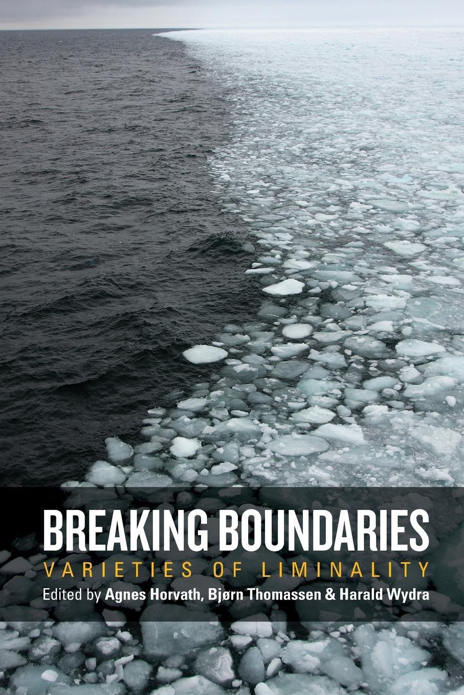 Cover: 9781785337499 | Breaking Boundaries | Varieties of Liminality | Harald Wydra | Buch