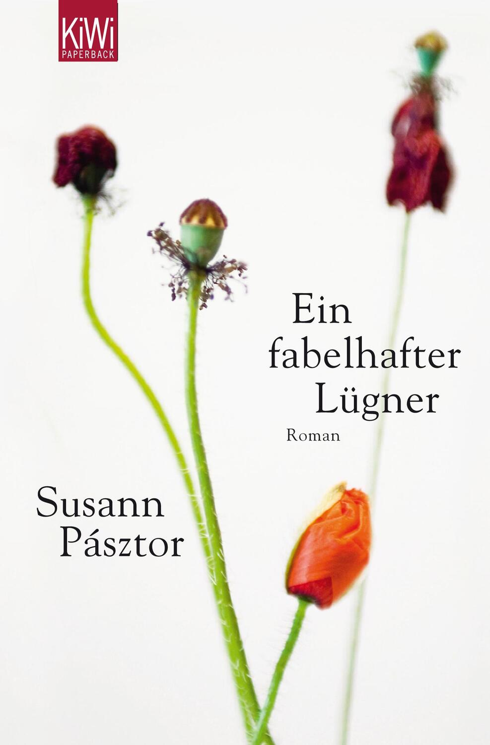 Cover: 9783462043105 | Ein fabelhafter Lügner | Susann Pásztor | Taschenbuch | KIWI | Deutsch