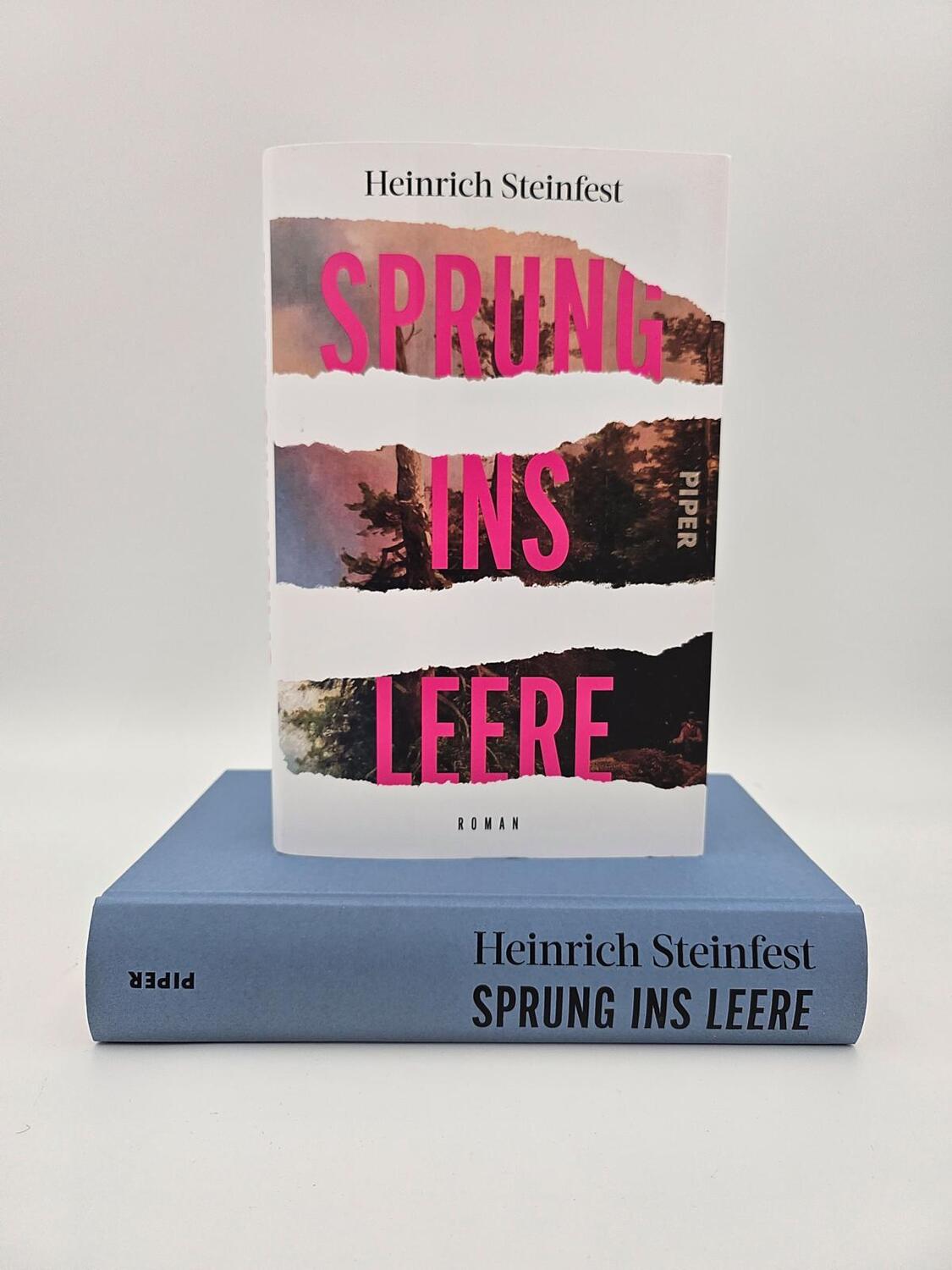 Bild: 9783492072151 | Sprung ins Leere | Heinrich Steinfest | Buch | 496 S. | Deutsch | 2024