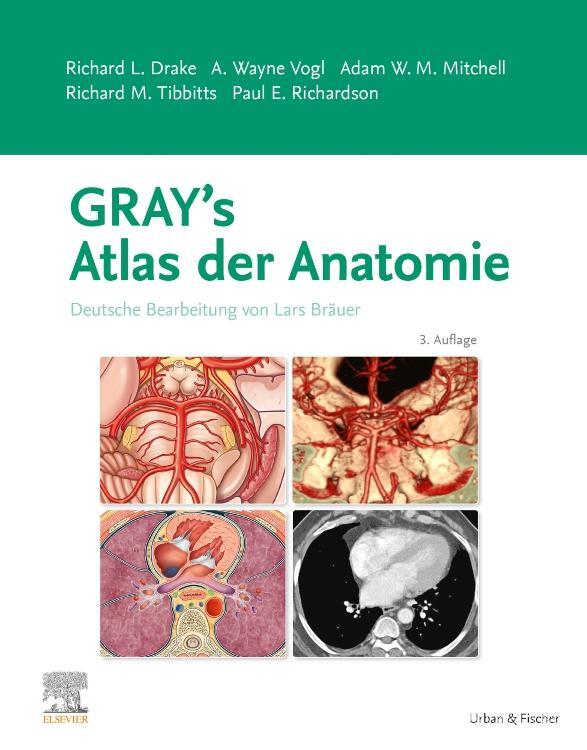 Cover: 9783437447020 | Gray's Atlas der Anatomie | Deutsche Bearbeitung von Lars Bräuer