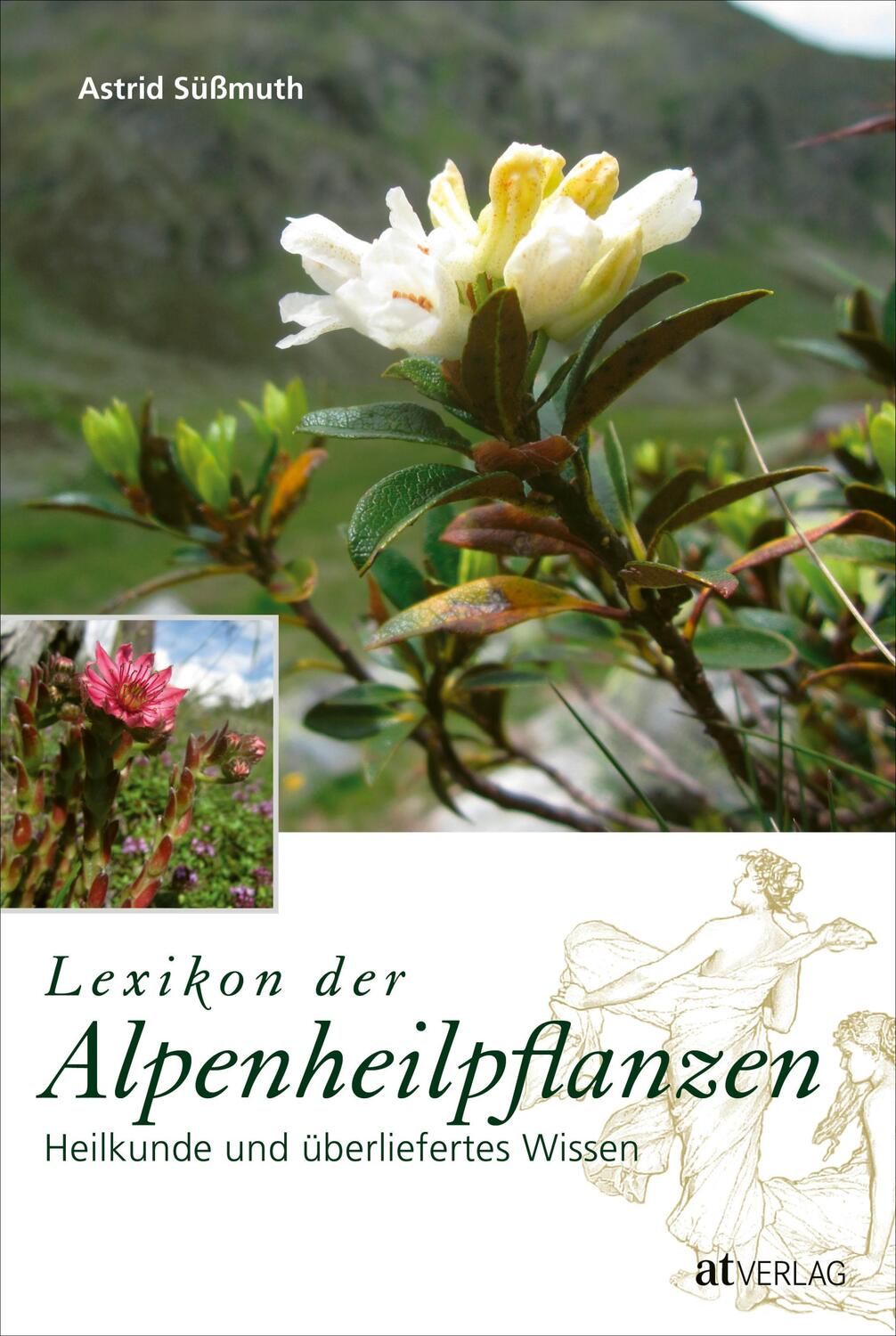 Cover: 9783038006718 | Lexikon der Alpenheilpflanzen | Astrid Süssmuth | Buch | Deutsch