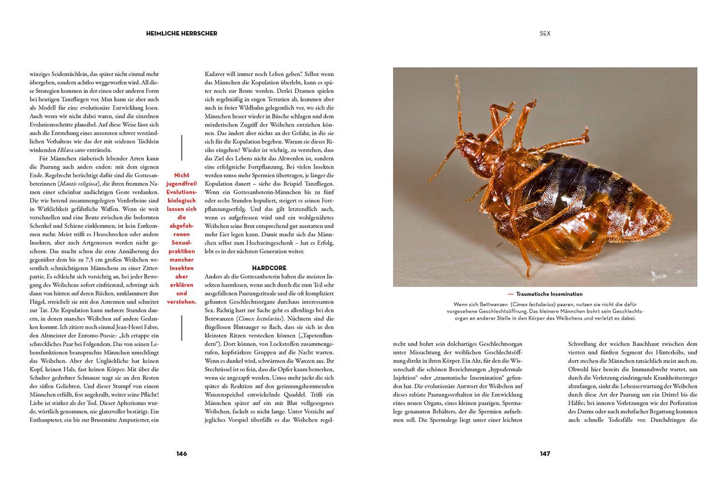 Bild: 9783440176085 | Insekten - Heimliche Herrscher | Ulrich Schmid | Buch | 208 S. | 2023