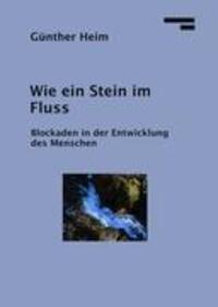 Cover: 9783837025316 | Wie ein Stein im Fluss | Blockaden in der Entwicklung | Günther Heim