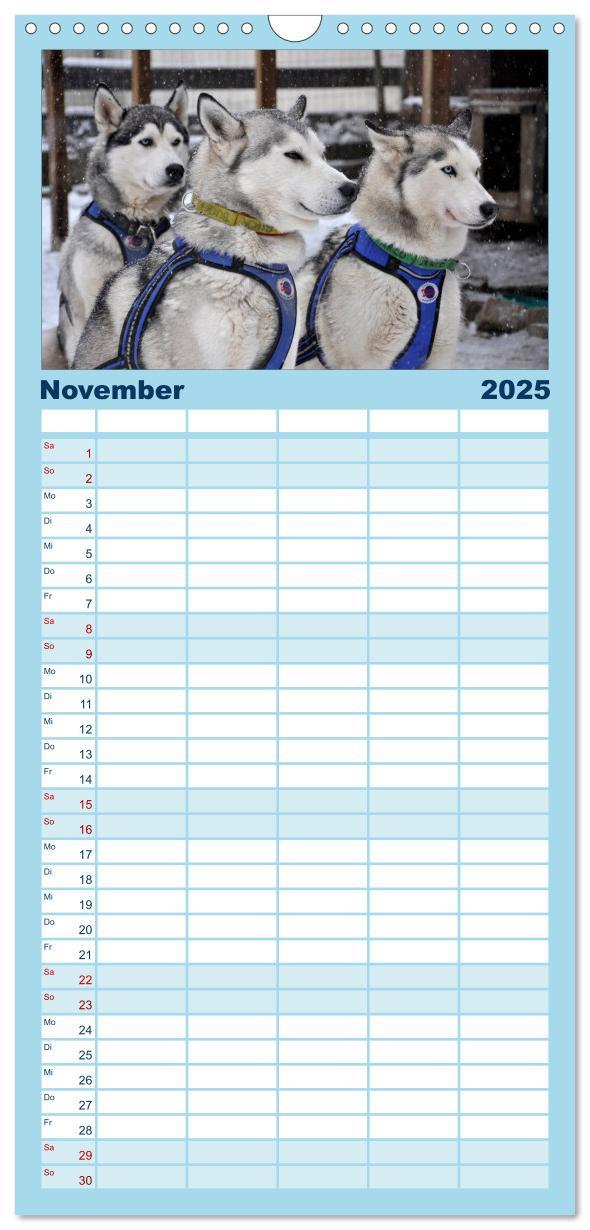 Bild: 9783457113264 | Familienplaner 2025 - Husky-Kalender mit 5 Spalten (Wandkalender,...