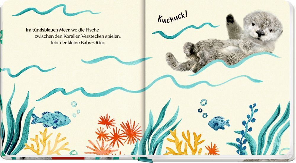 Bild: 9783649643326 | Meine erste Tierbaby-Geschichte: Kleiner Otter | Amanda Wood | Buch