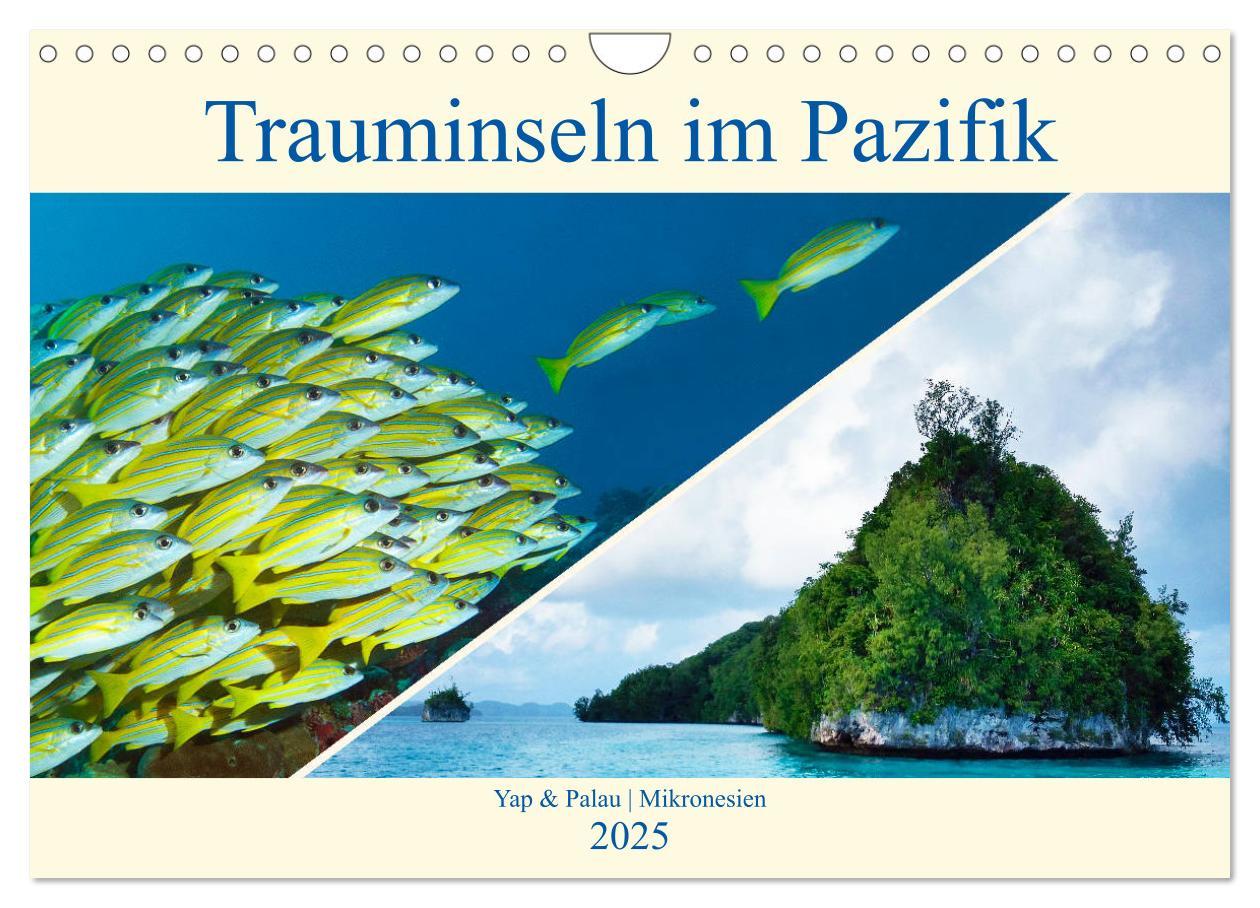 Cover: 9783435306985 | Mikronesien: Yap und Palau (Wandkalender 2025 DIN A4 quer),...