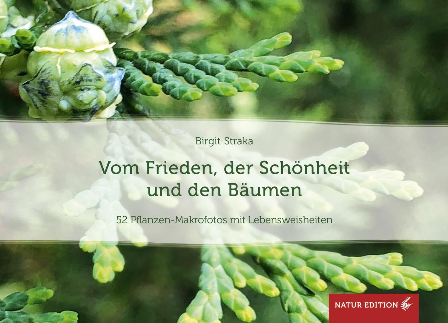 Cover: 9783907246696 | Vom Frieden, der Schönheit und den Bäumen (Tischaufsteller) | Straka