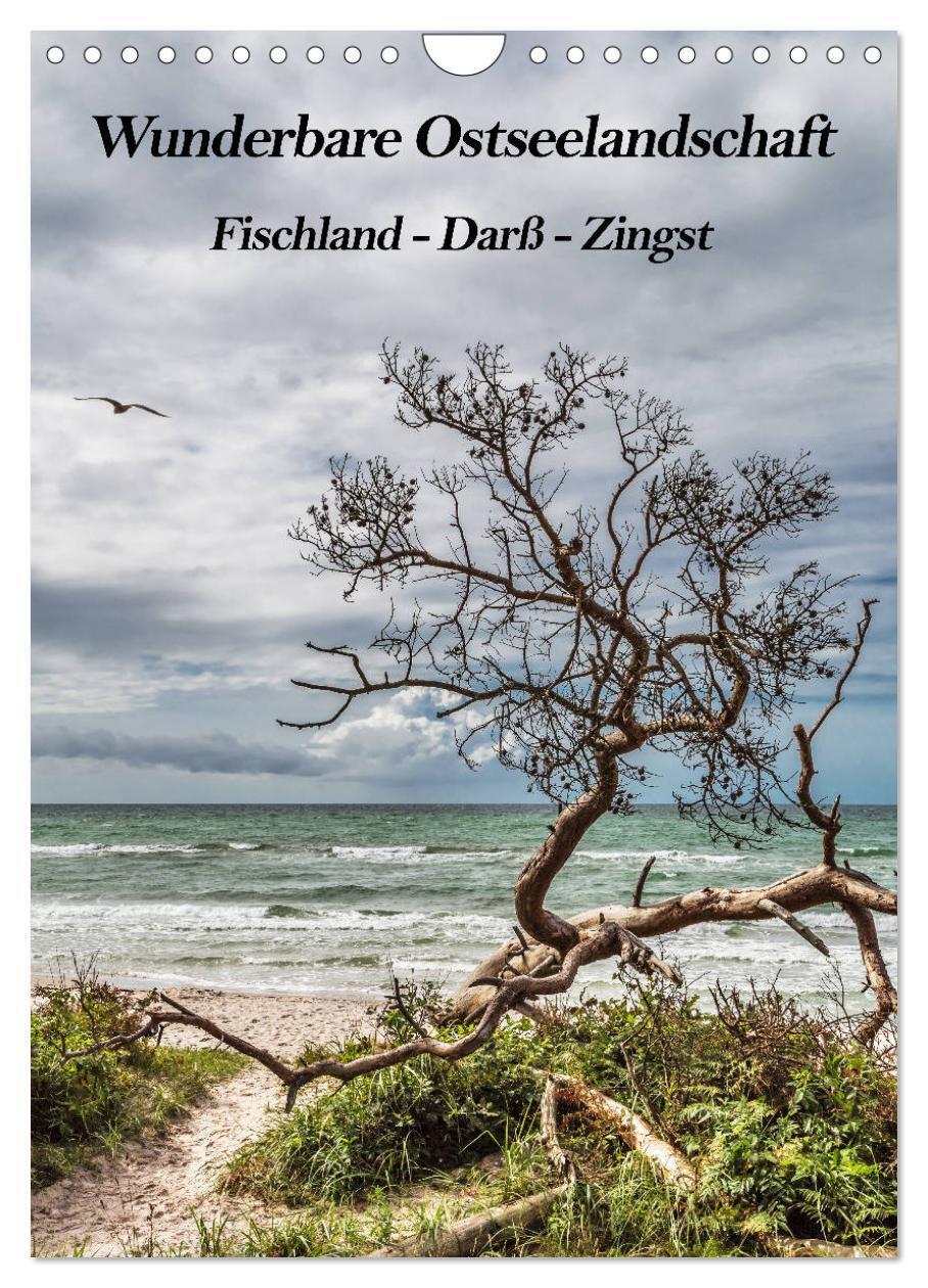 Cover: 9783675449244 | Wunderbare Ostseelandschaft Fischland-Darß-Zingst (Wandkalender...