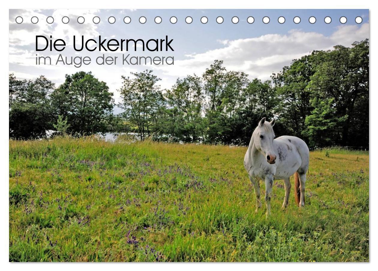 Cover: 9783675444300 | Die Uckermark im Auge der Kamera (Tischkalender 2024 DIN A5 quer),...