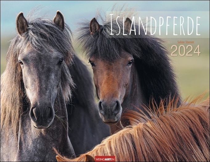 Cover: 9783840085390 | Islandpferde Kalender 2024. Fotokalender mit Porträts der...