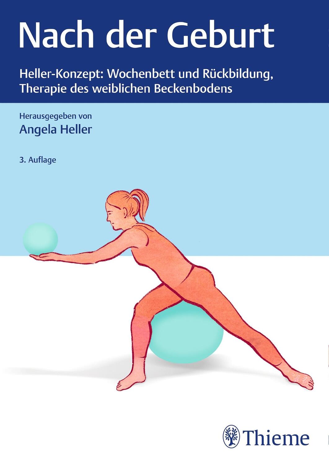 Cover: 9783132442825 | Nach der Geburt | Heller-Konzept:Therapie des weiblichen Beckenbodens