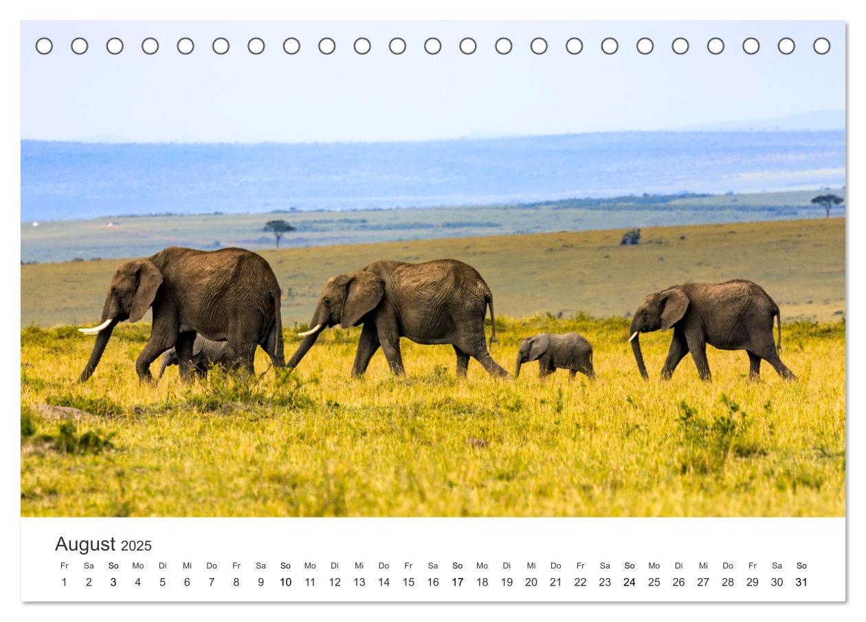 Bild: 9783383956713 | Botswana - Grandiose Wildnis (Tischkalender 2025 DIN A5 quer),...