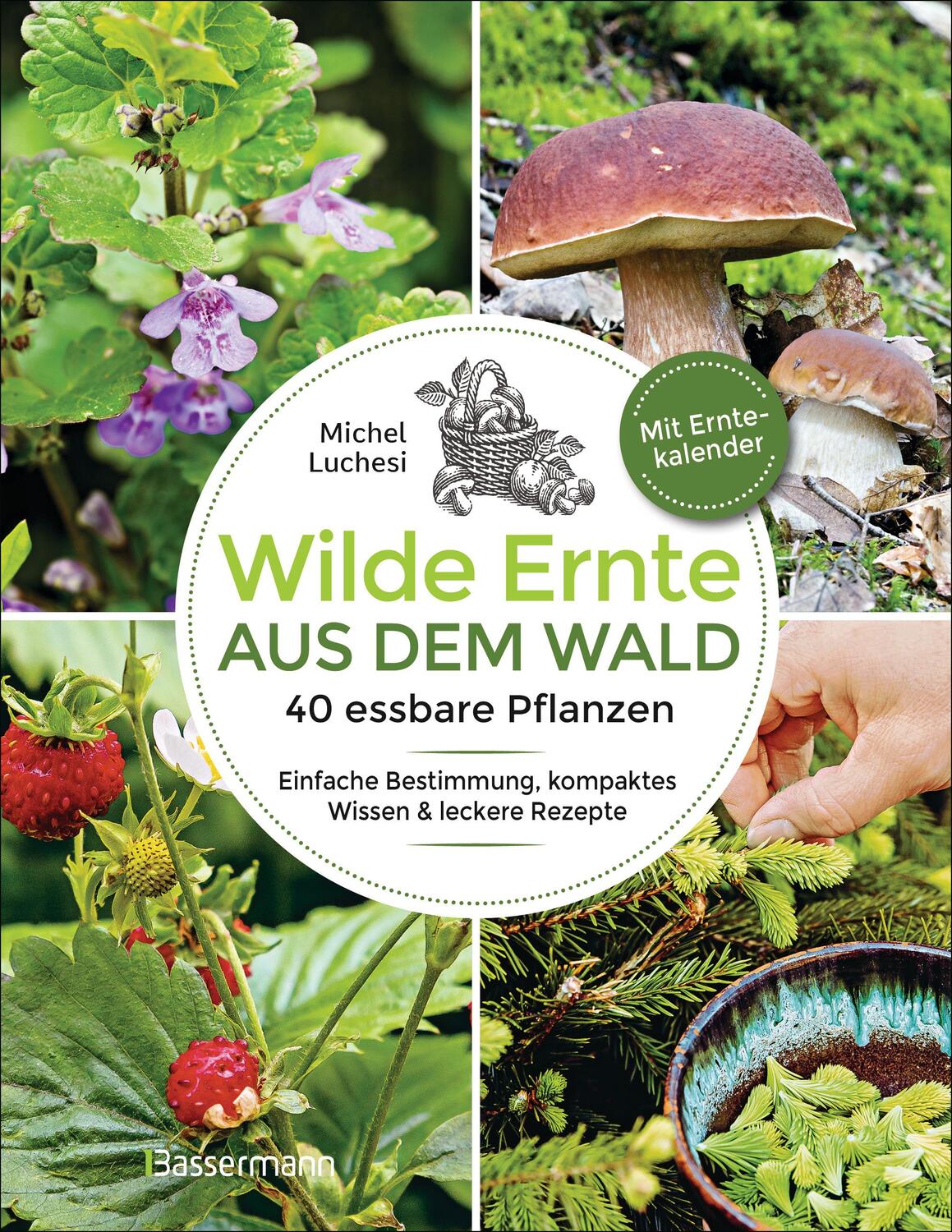 Cover: 9783809449355 | Wilde Ernte aus dem Wald - 40 essbare Pflanzen - einfache...