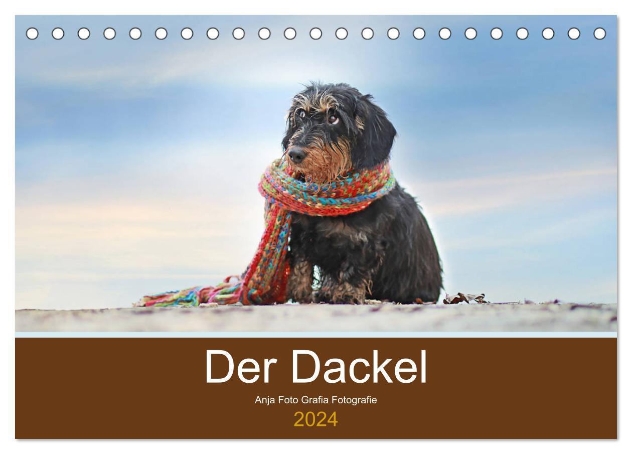 Cover: 9783383095658 | Der Dackel (Tischkalender 2024 DIN A5 quer), CALVENDO Monatskalender