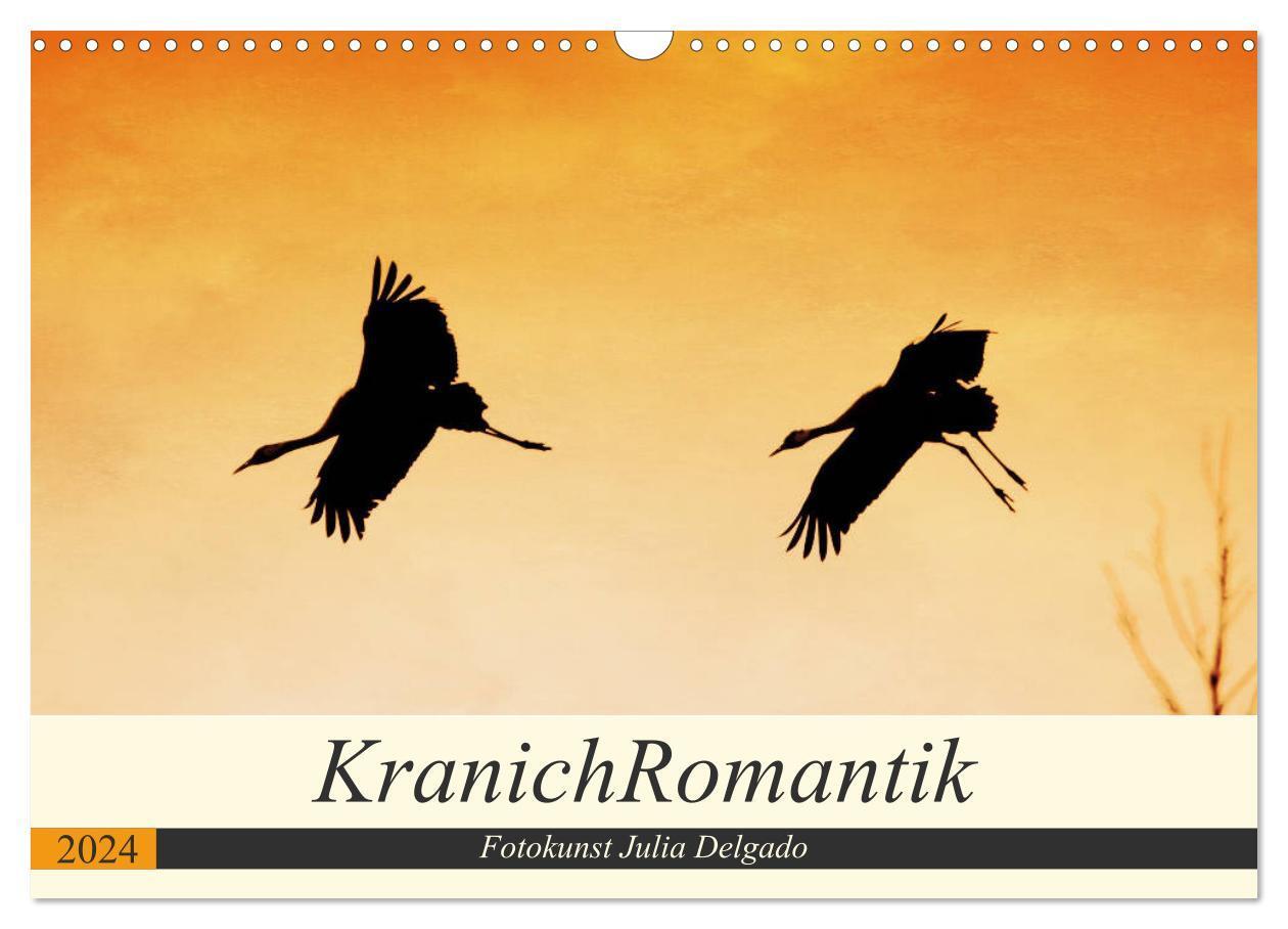 Cover: 9783675820227 | KranichRomantik (Wandkalender 2024 DIN A3 quer), CALVENDO...