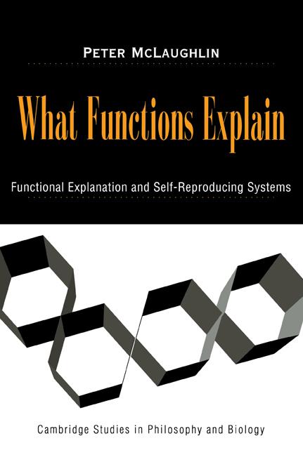 Cover: 9780521038850 | What Functions Explain | Peter Mclaughlin | Taschenbuch | Englisch