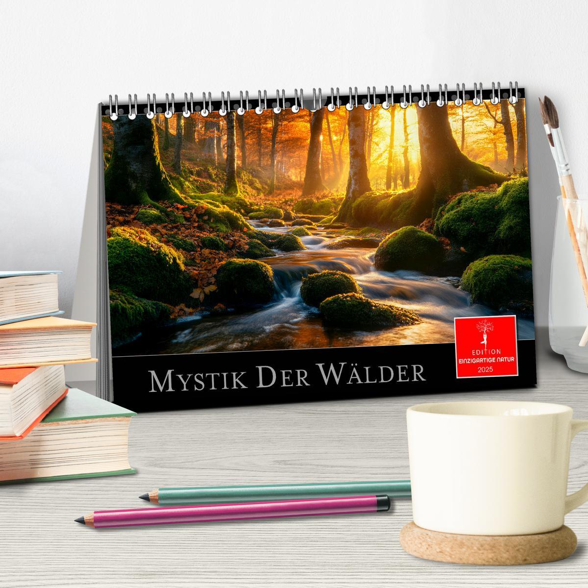 Bild: 9783457224809 | Mystik der Wälder (Tischkalender 2025 DIN A5 quer), CALVENDO...