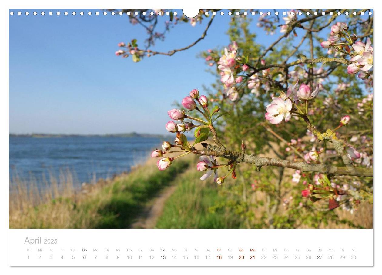 Bild: 9783435629251 | Zauberhafte Schlei (Wandkalender 2025 DIN A3 quer), CALVENDO...