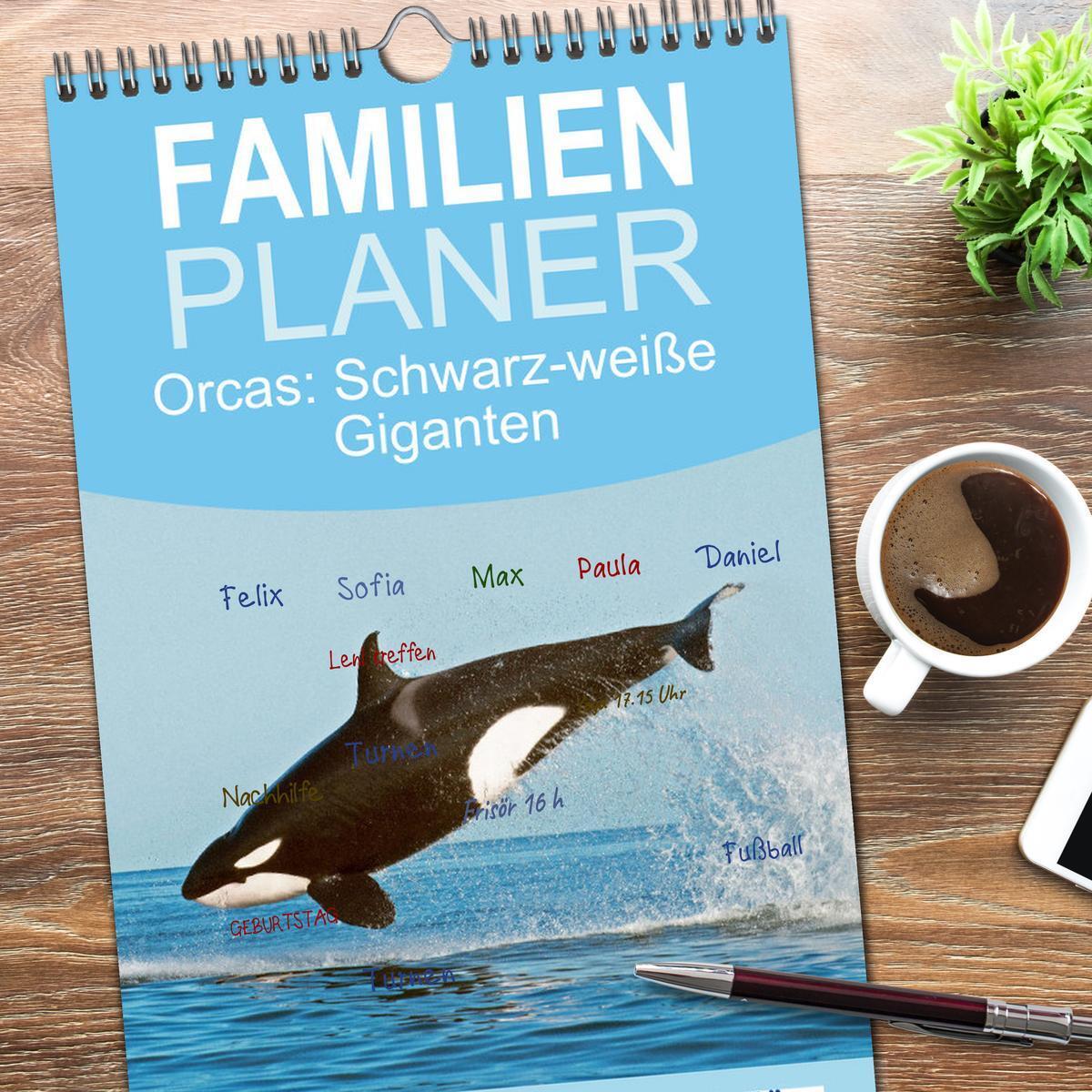 Bild: 9783457091098 | Familienplaner 2025 - Orcas: Schwarz-weiße Giganten mit 5 Spalten...