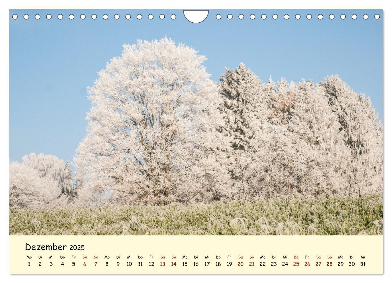 Bild: 9783435012237 | Müngstener Brücke - Landschaft rund um Solingen (Wandkalender 2025...