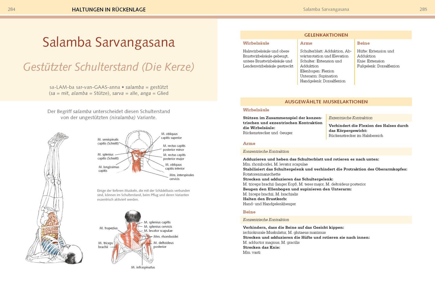 Bild: 9783742320513 | Yoga-Anatomie | Leslie Kaminoff (u. a.) | Taschenbuch | Deutsch | 2022