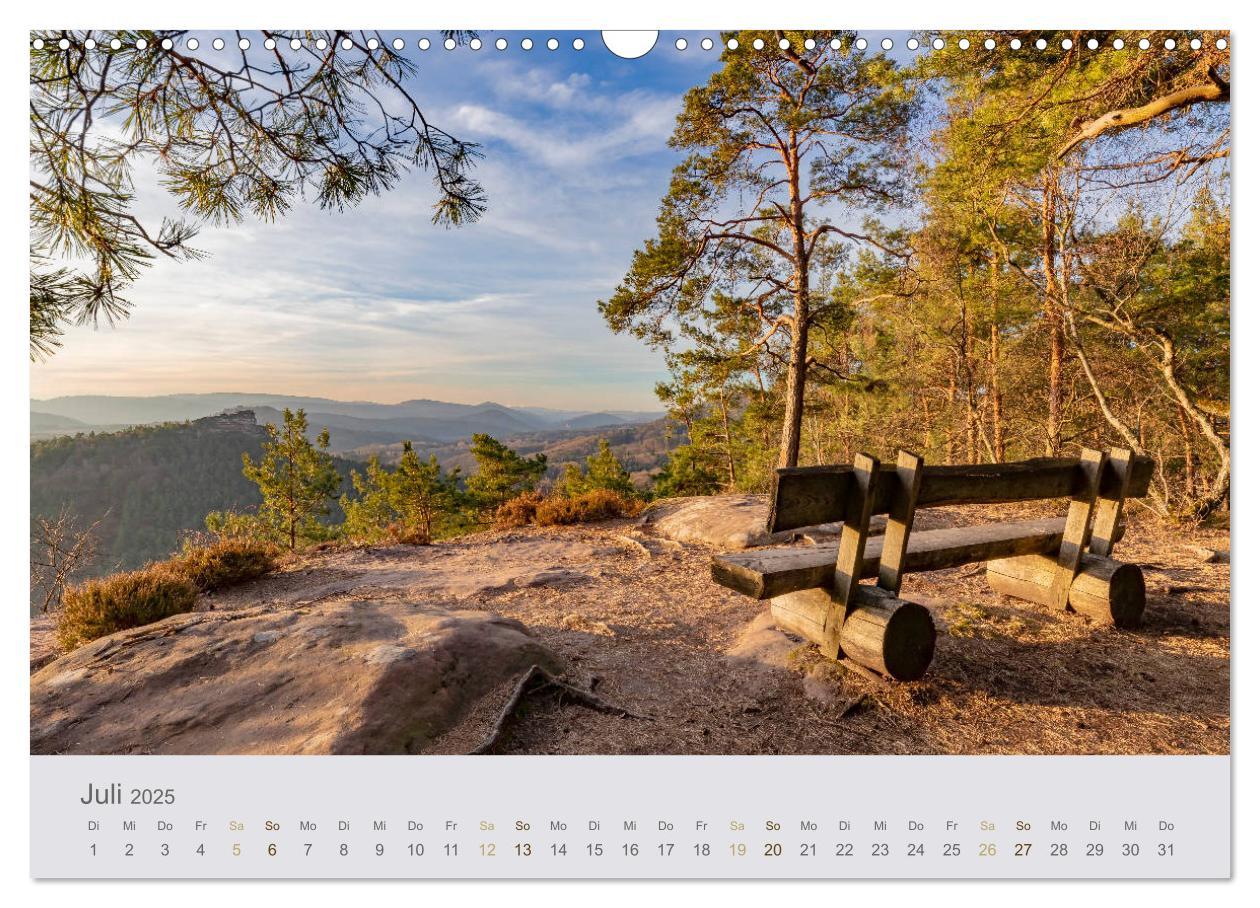 Bild: 9783435216154 | Augenblicke im Pfälzerwald (Wandkalender 2025 DIN A3 quer),...