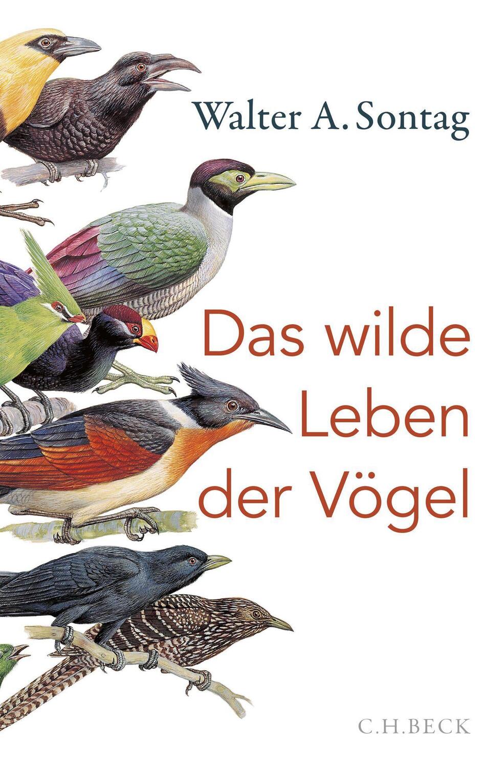 Cover: 9783406749780 | Das wilde Leben der Vögel | Walter A. Sontag | Buch | 240 S. | Deutsch