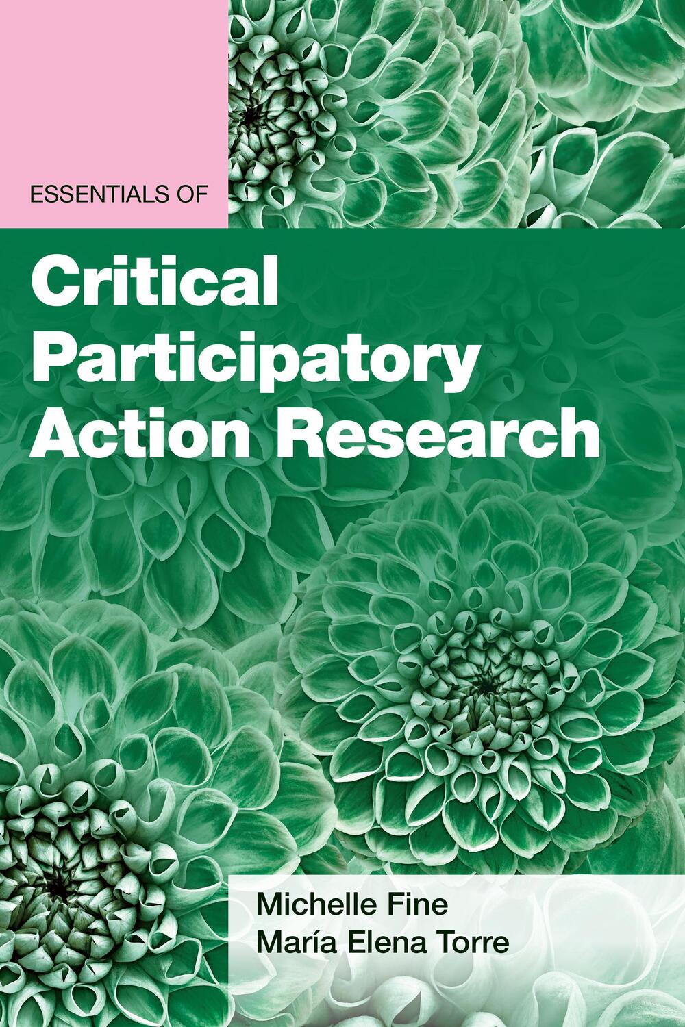Cover: 9781433834615 | Essentials of Critical Participatory Action Research | Fine (u. a.)