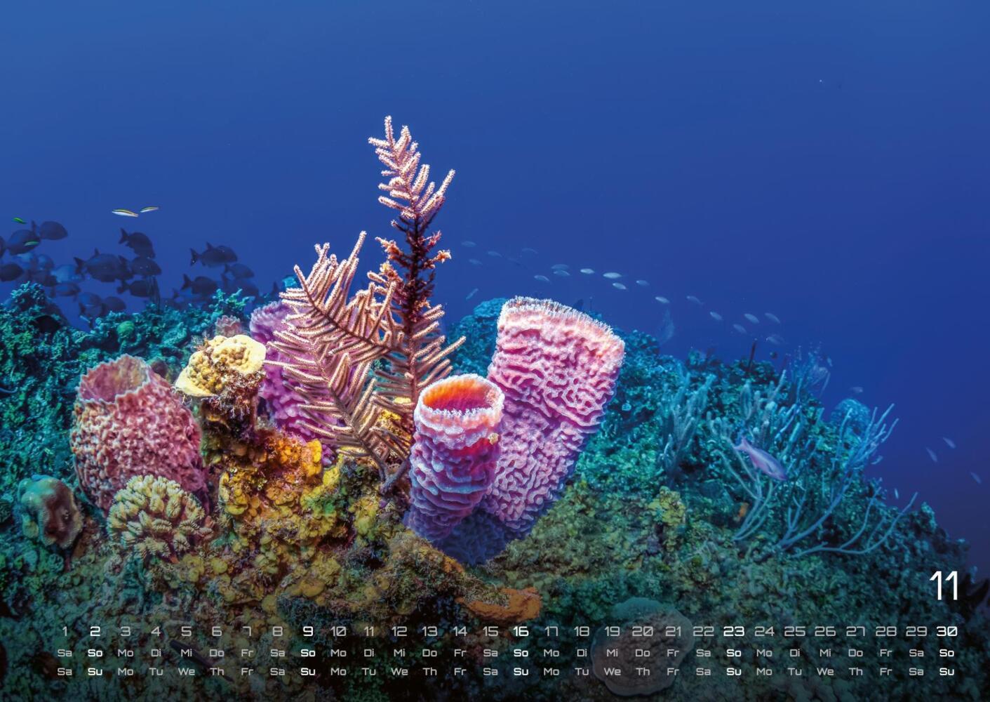 Bild: 9783986734299 | Sealife - verborgene Tiefen - 2025 - Kalender DIN A2 | GP-Fever.de