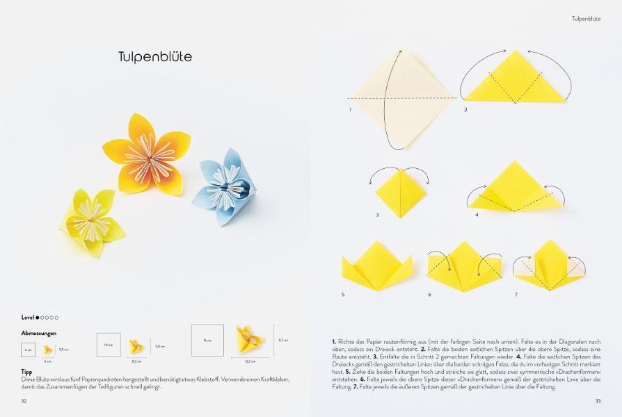 Bild: 9783838838571 | Das große Origami Buch | Faltkunst - von klassisch bis außergewöhnlich